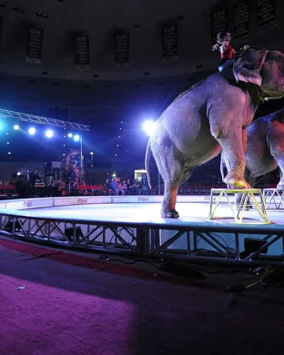 Canada's Circus Spectacular