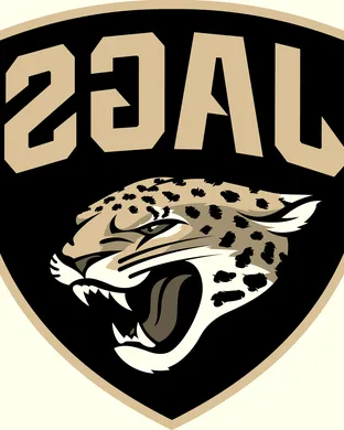 Jacksonville Jaguars vs. Houston Texans