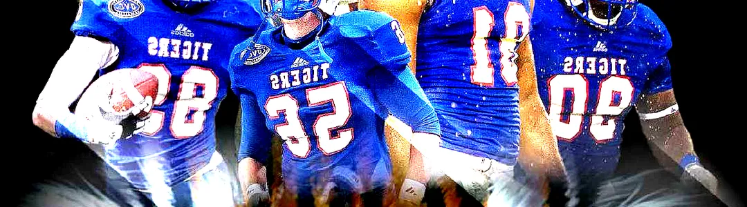 Tennessee State Tigers