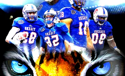 Tennessee State Tigers