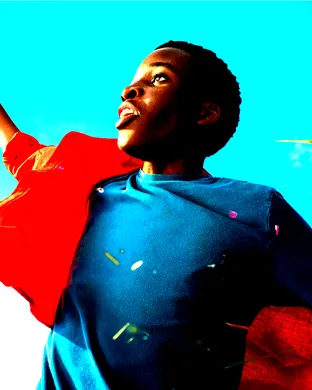 The Boy Who Harnessed the Wind