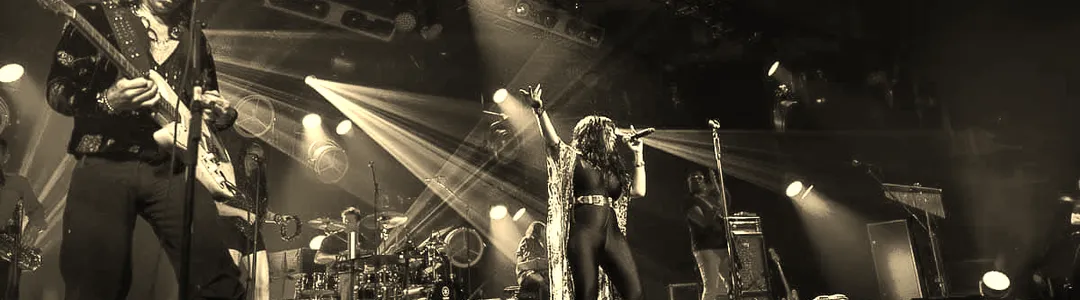 The Brand New Heavies