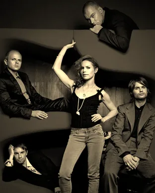 The Cardigans